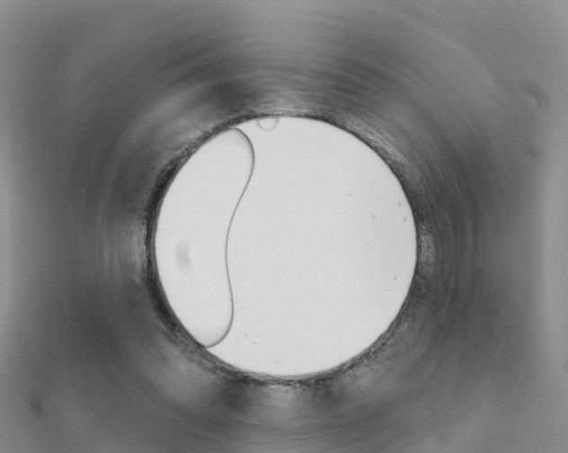 X0000112430302200908141117