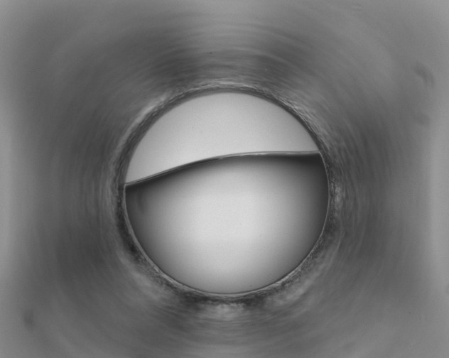 X0000112430304200908141117
