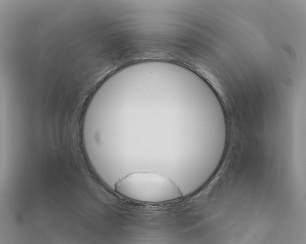 X0000112430305200908141117