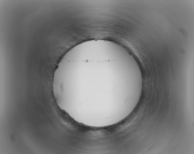 X0000112430307200908141117