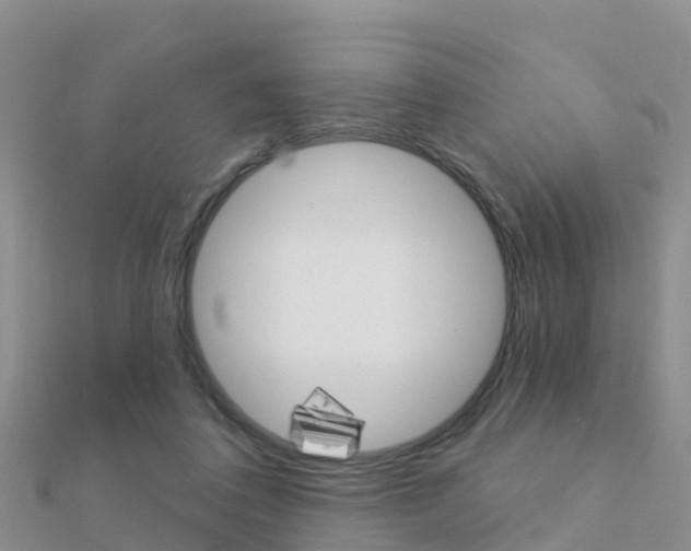 X0000112430308200908141117