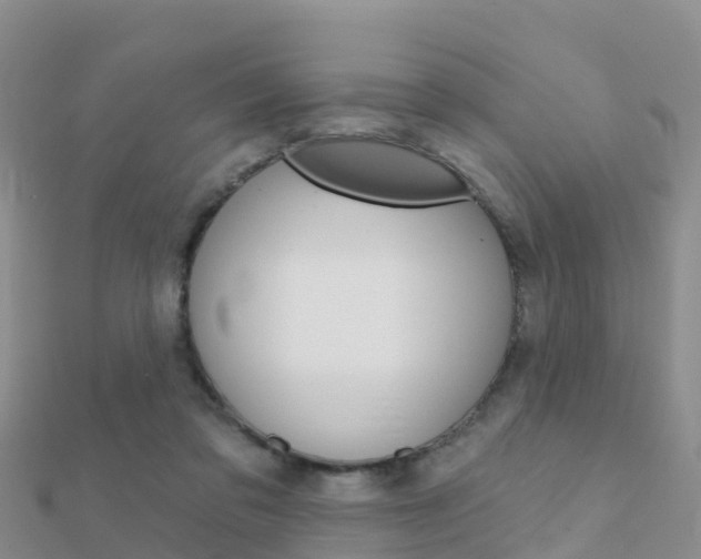 X0000112430309200908141117