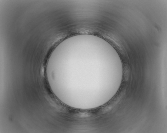 X0000112430310200908141117
