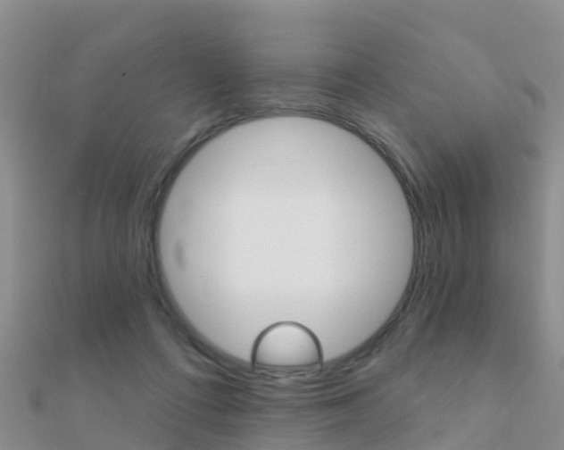 X0000112430312200908141117