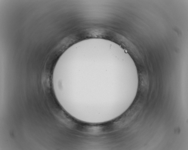 X0000112430313200908141117