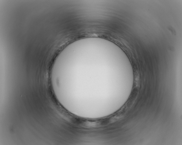 X0000112430314200908141117