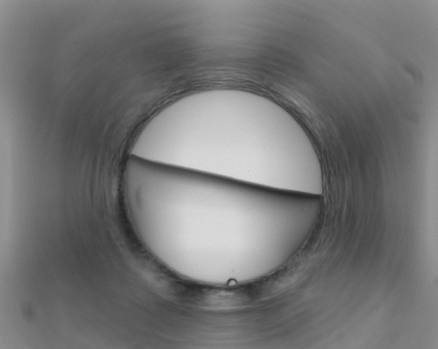 X0000112430315200908141117