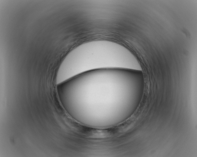 X0000112430316200908141117