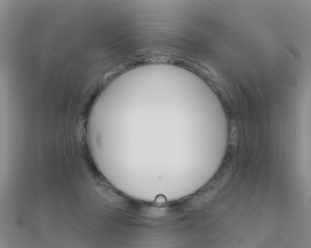 X0000112430318200908141117