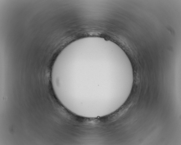 X0000112430321200908141117