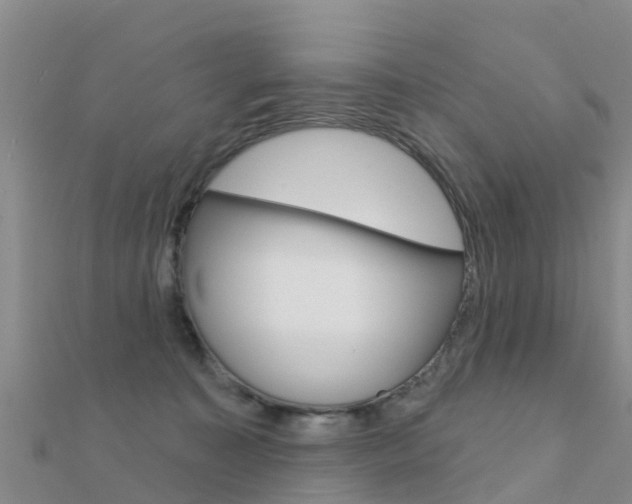 X0000112430323200908141117