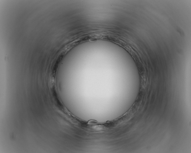X0000112430324200908141117