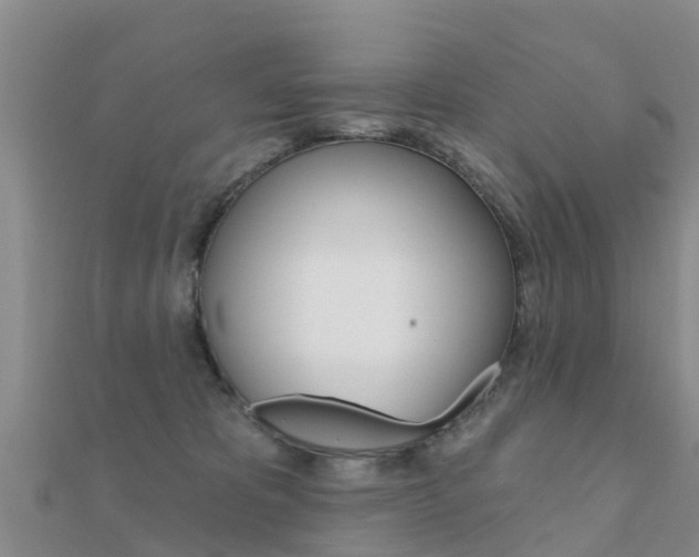 X0000112430325200908141117