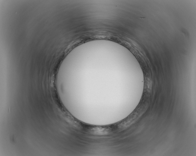 X0000112430326200908141117