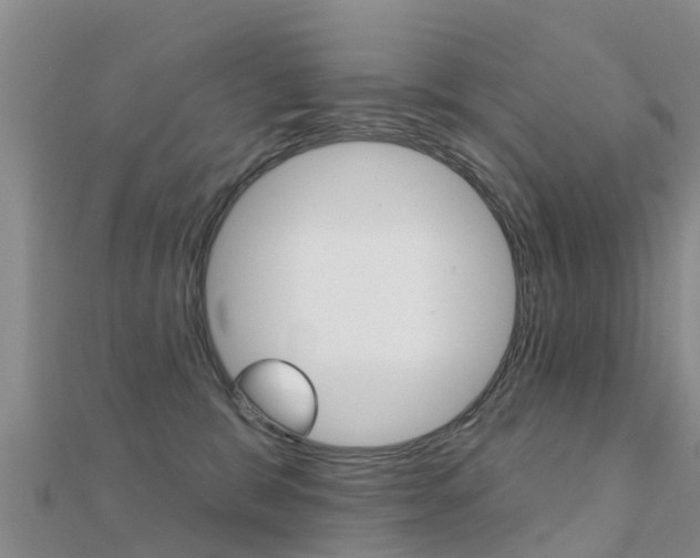 X0000112430327200908141117
