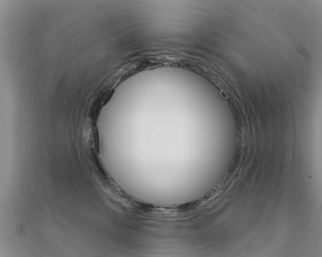 X0000112430328200908141117