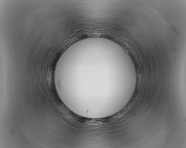 X0000112430331200908141117
