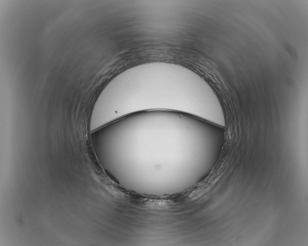 X0000112430332200908141117