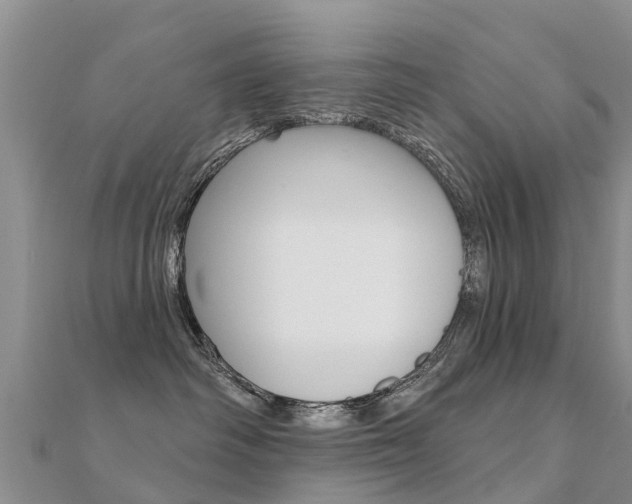X0000112430334200908141117
