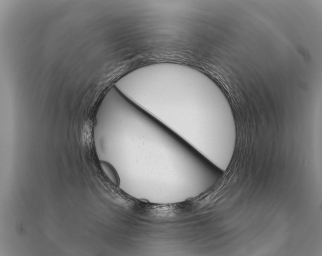 X0000112430335200908141117