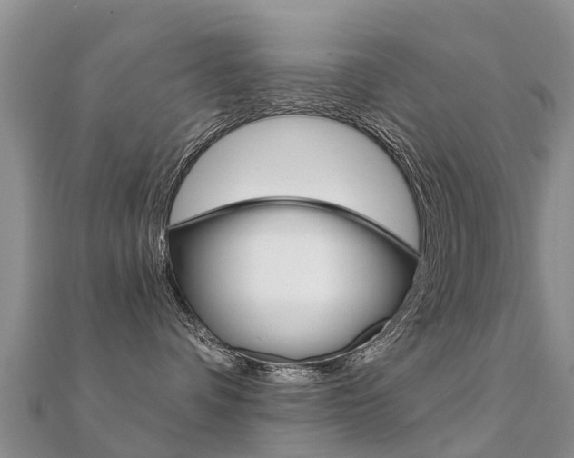 X0000112430336200908141117