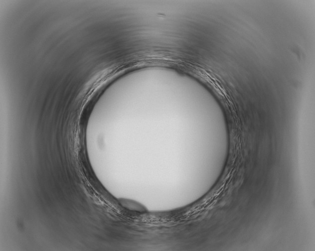 X0000112430338200908141116