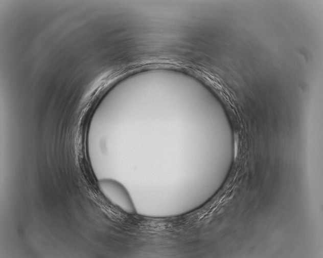 X0000112430339200908141116