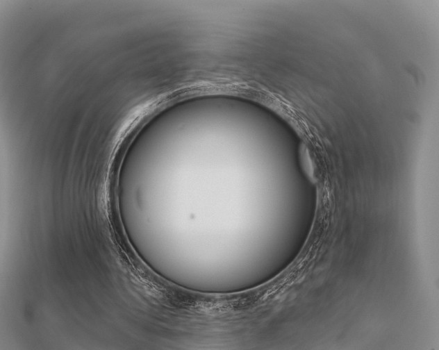 X0000112430340200908141116