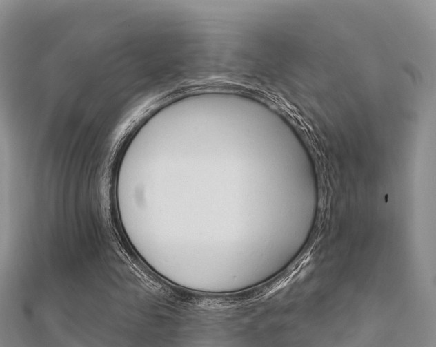 X0000112430341200908141116