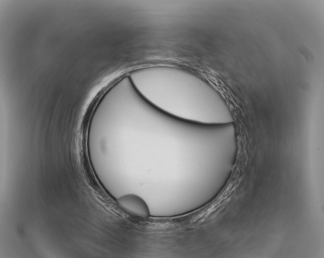 X0000112430342200908141116