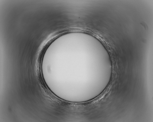 X0000112430343200908141116