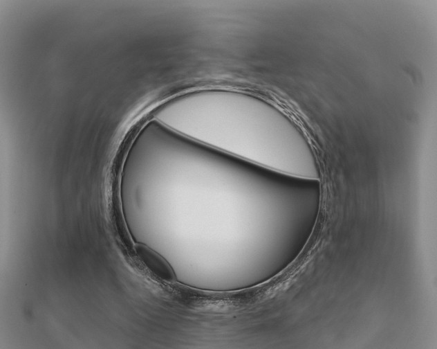X0000112430344200908141116