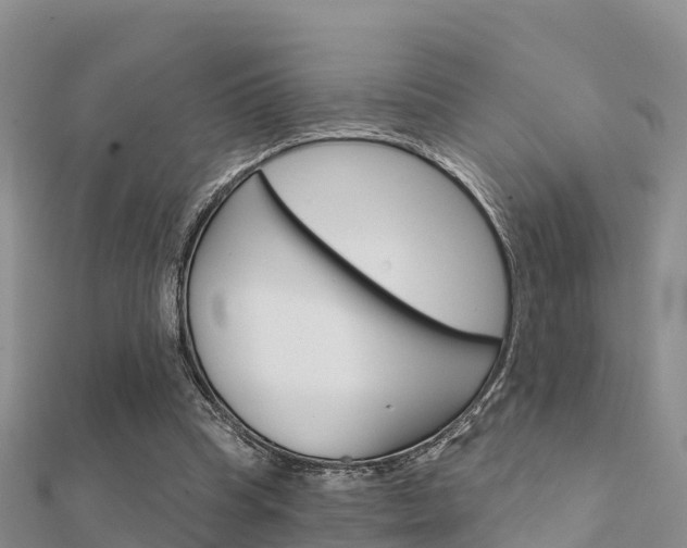 X0000112430345200908141116
