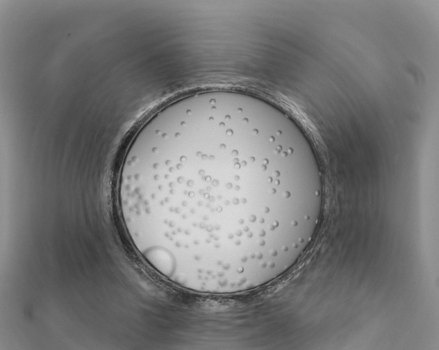 X0000112430346200908141116