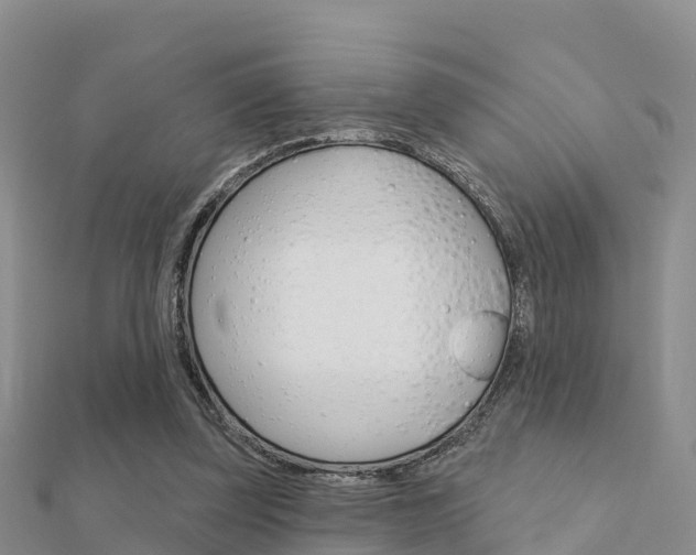 X0000112430347200908141116