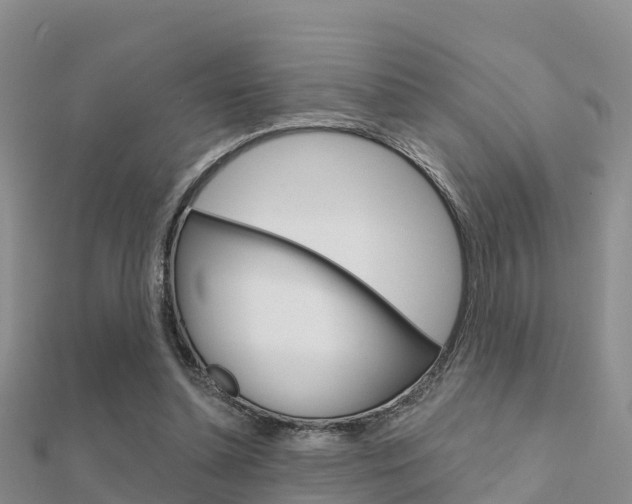 X0000112430348200908141116