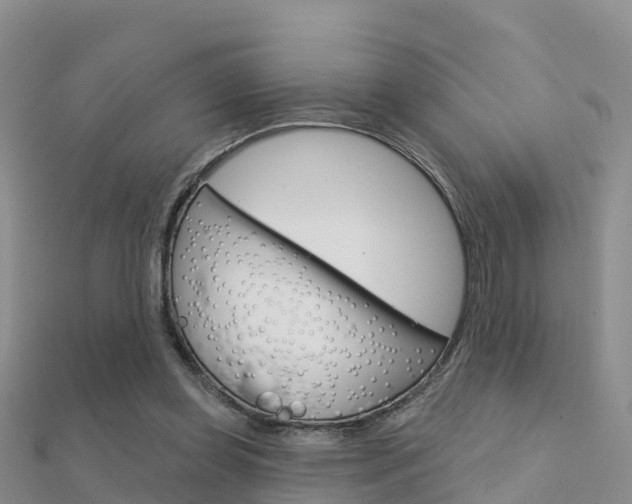 X0000112430349200908141116