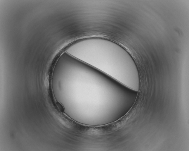 X0000112430350200908141116
