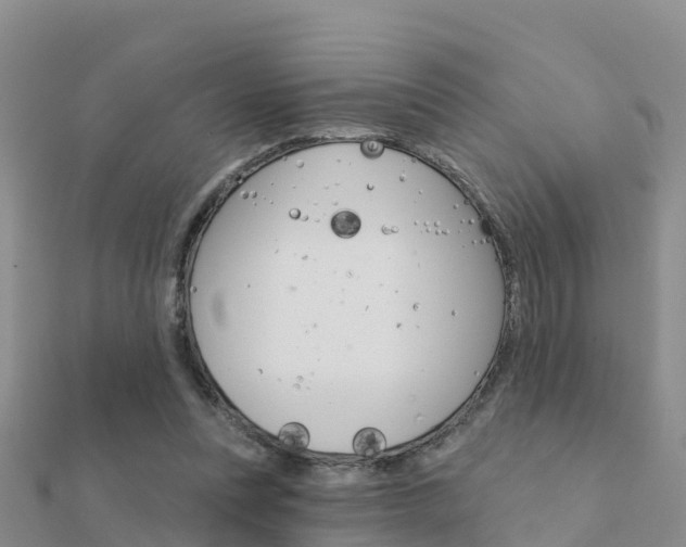 X0000112430351200908141116