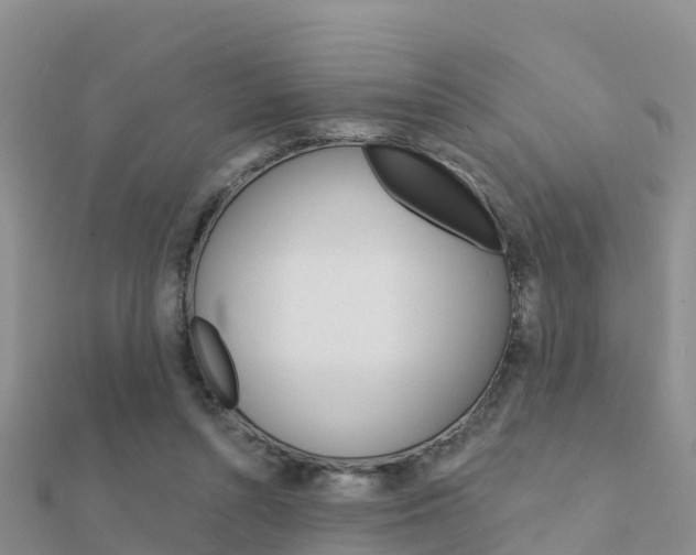 X0000112430352200908141116