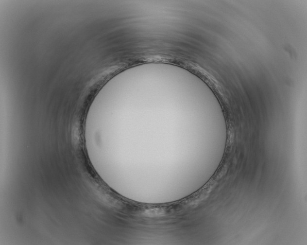 X0000112430353200908141116