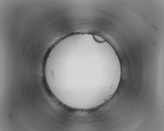 X0000112430354200908141116