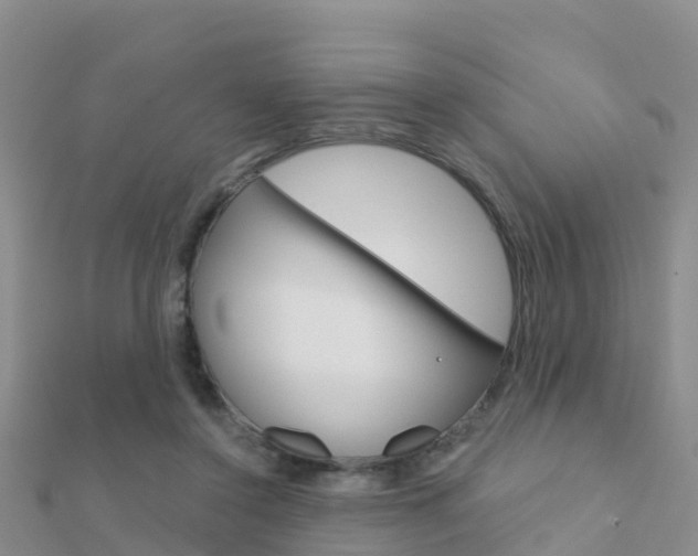 X0000112430356200908141116