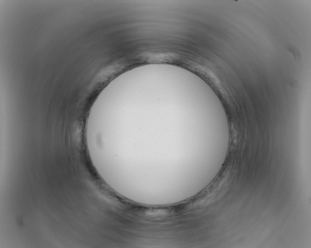 X0000112430357200908141116