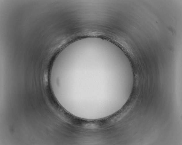 X0000112430358200908141116