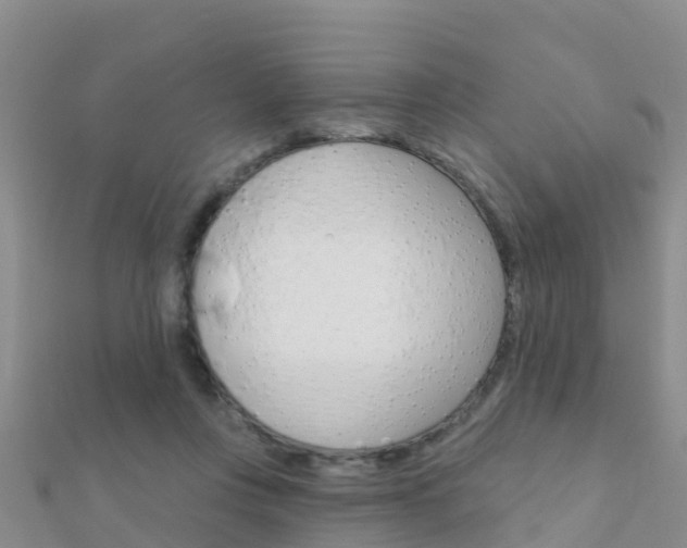 X0000112430359200908141116