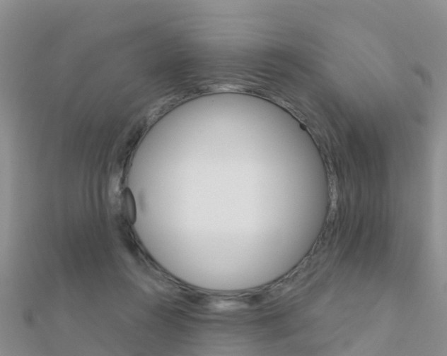 X0000112430360200908141116