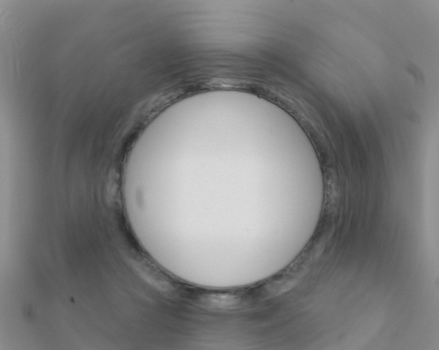 X0000112430361200908141116