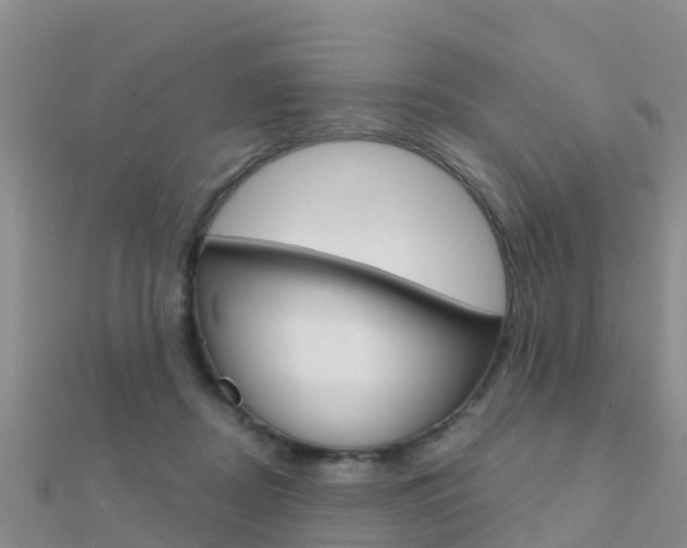 X0000112430362200908141116