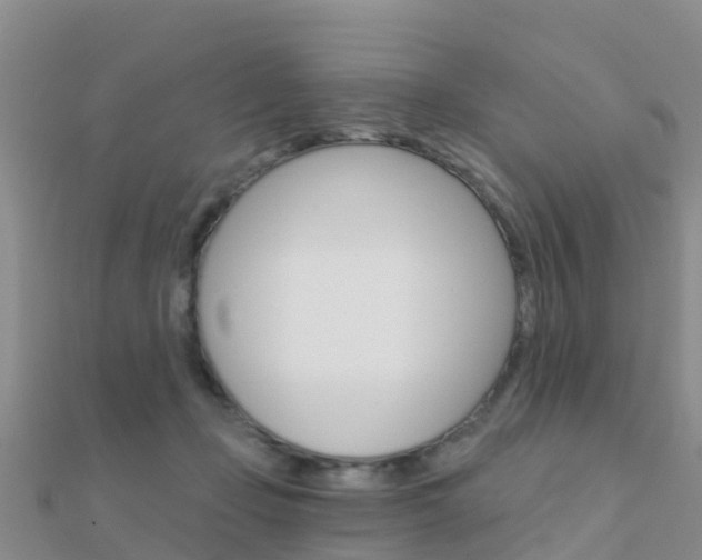 X0000112430365200908141116